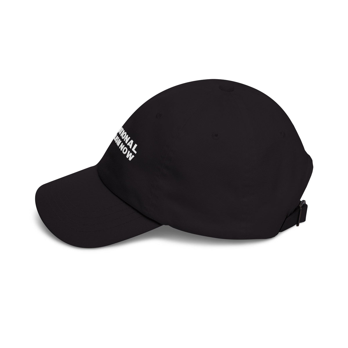 Oppositional Federalism Now Dad Hat